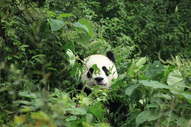 IMG_9692 (Large) (Large)